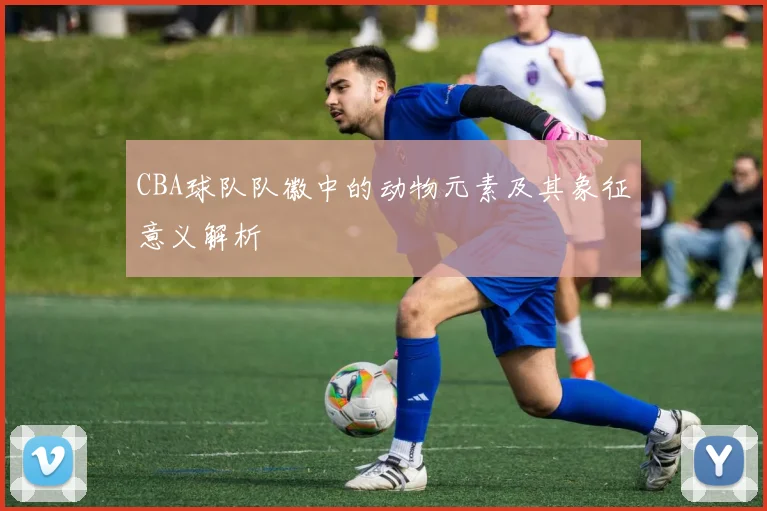 CBA球队队徽中的动物元素及其象征意义解析