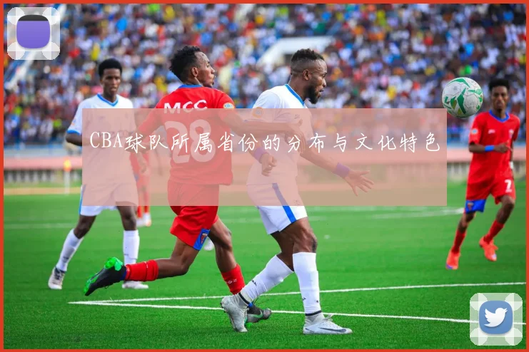 CBA球队所属省份的分布与文化特色